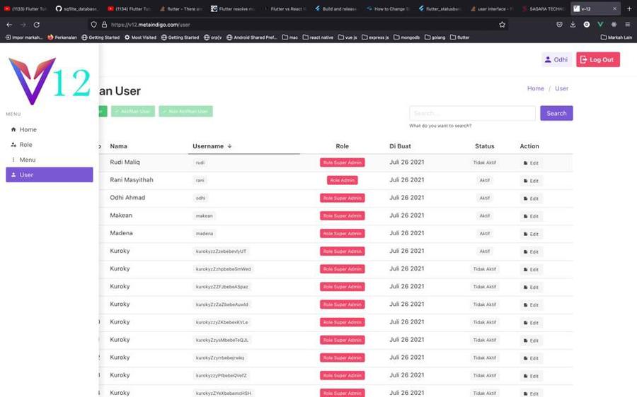 Engine V12 — user management